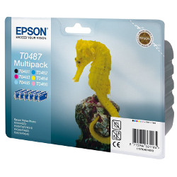 Mulipack 6 cartouches 13ml  pour EPSON Stylus Photo R 220